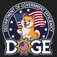 Funny Doge Crypto Meme Department Of Government Efficiency Women's Sweatshirt thumb 2