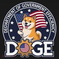 Funny Doge Crypto Meme Department Of Government Efficiency Women's Hoodie thumb 2