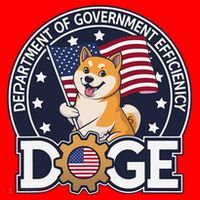Funny Doge Crypto Meme Department Of Government Efficiency Santa Hat thumb 1