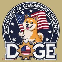 Funny Doge Crypto Meme Department Of Government Efficiency Mousepad thumb 1