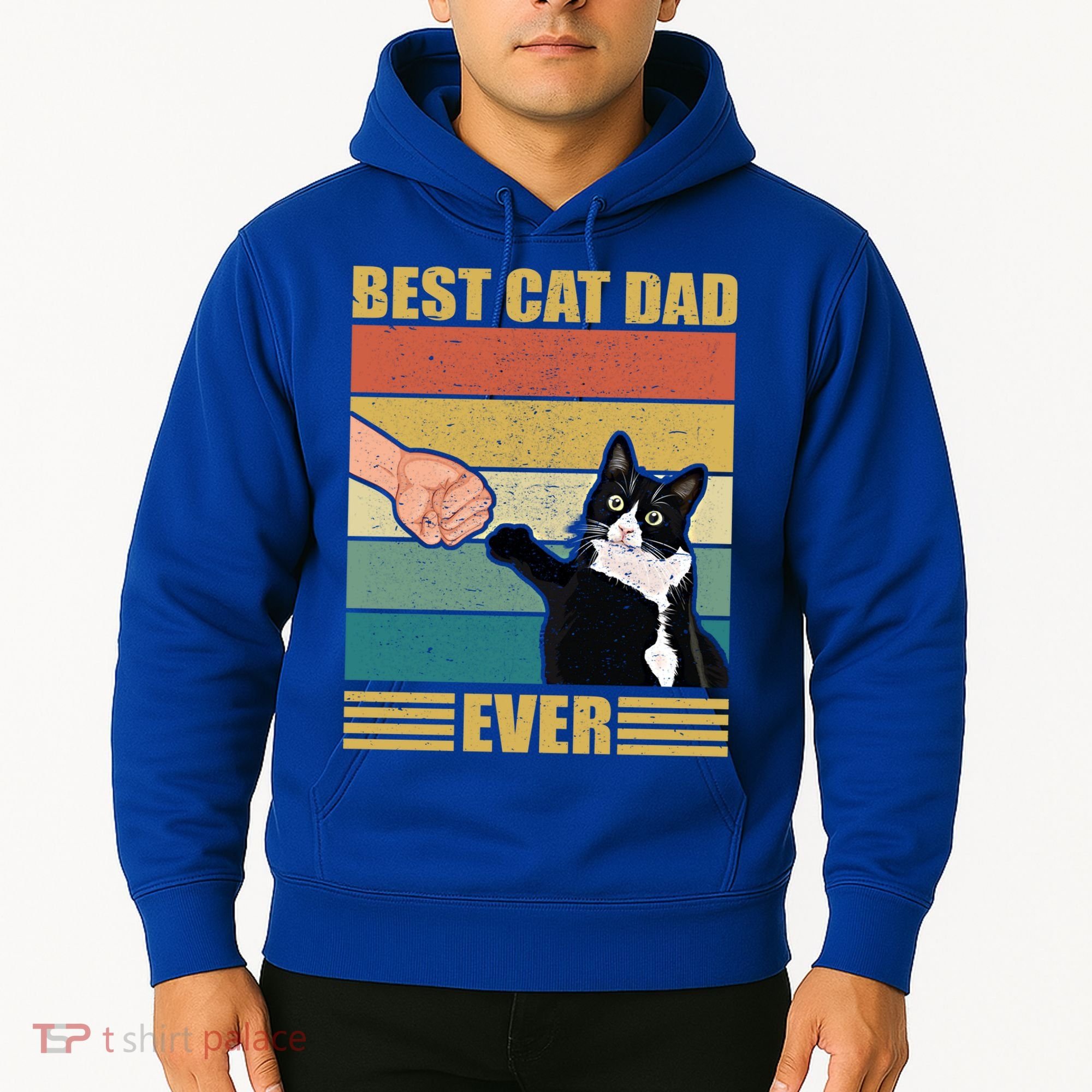 Fathers Day Cat Dad Funny Best Cat Dad Ever Gift Hoodie