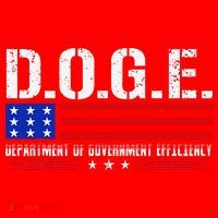 Funny Doge D.O.G.E. Department Of Government Efficiency Meme Santa Hat thumb 1