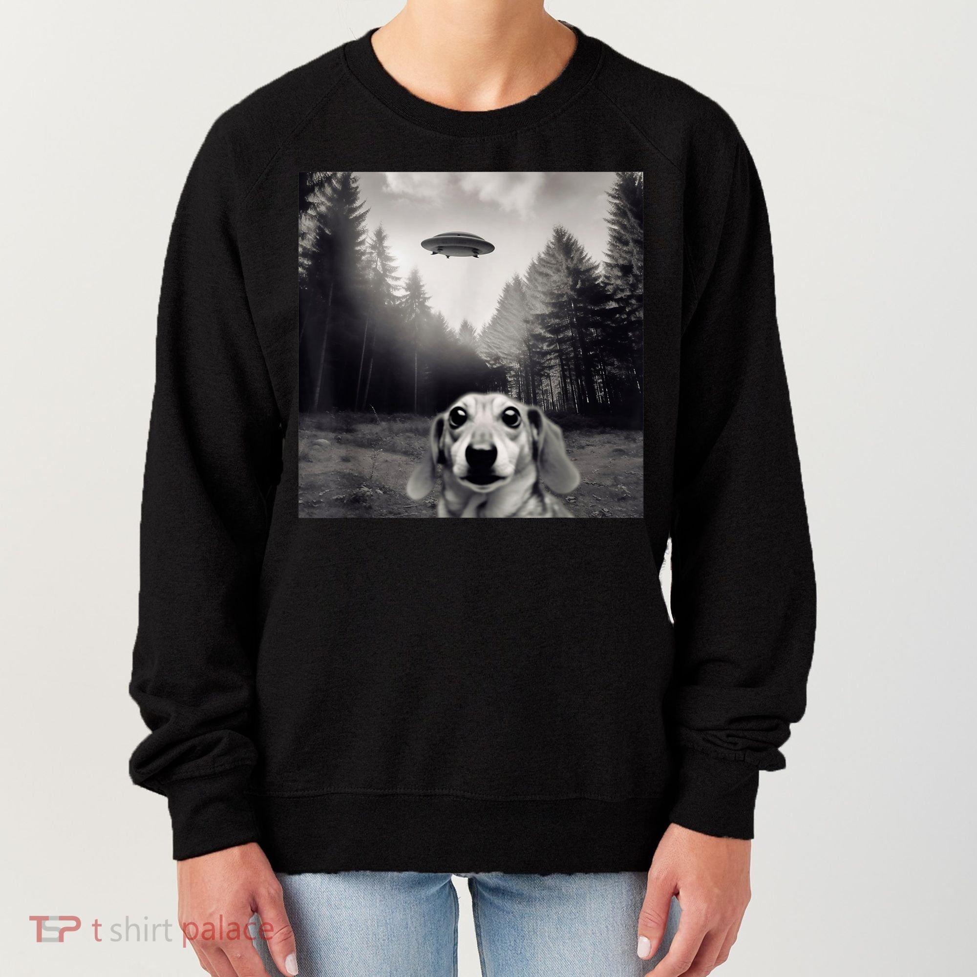 Funny Dachshund Dog Alien Ufo Gift Women's Sweatshirt