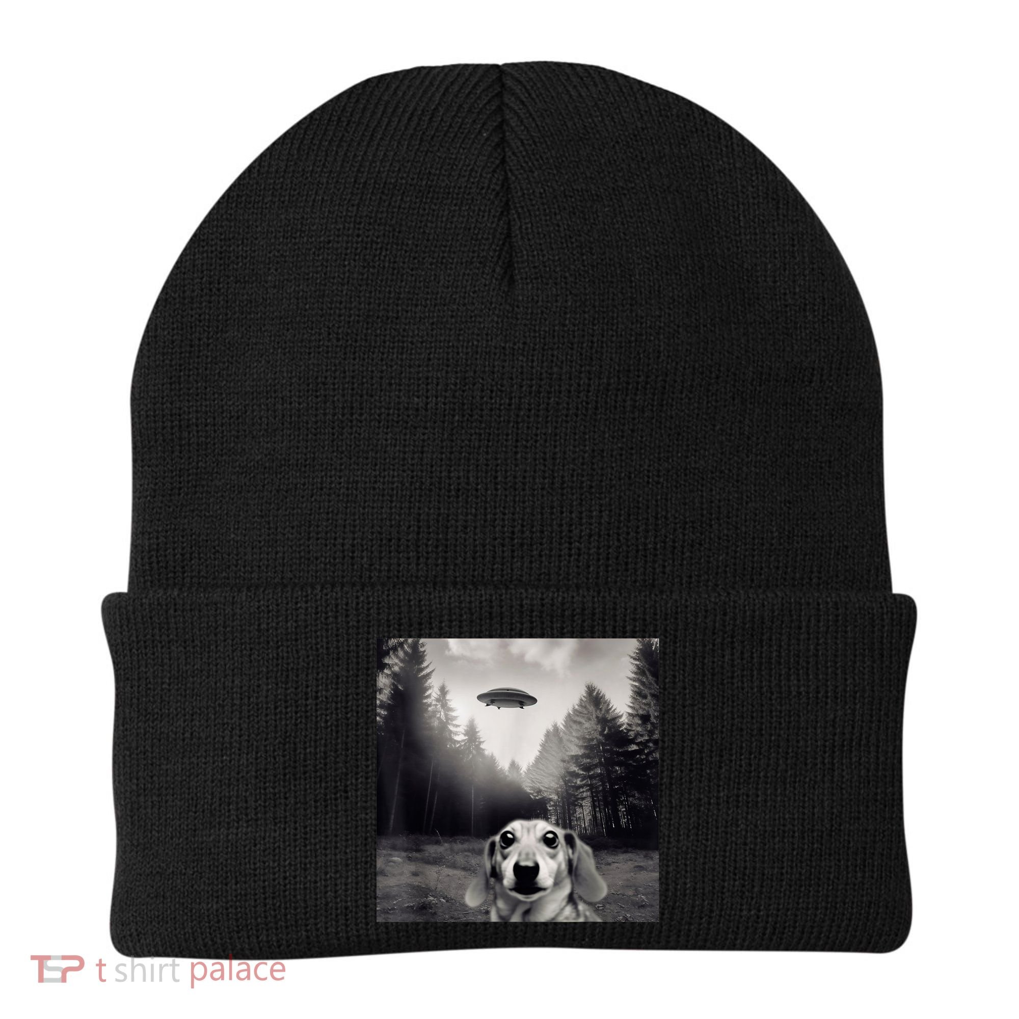 Funny Dachshund Dog Alien Ufo Gift Beanie