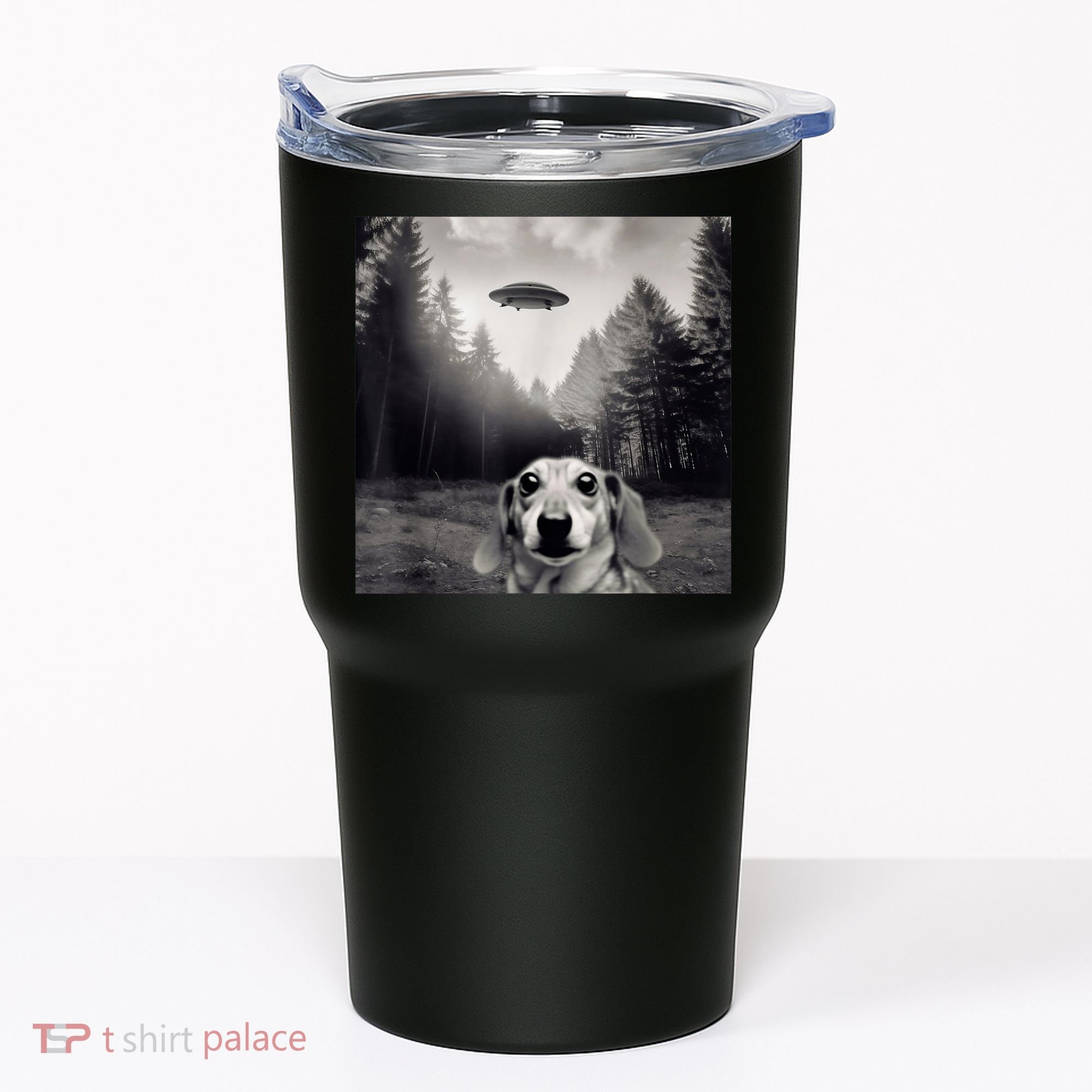 Funny Dachshund Dog Alien Ufo Gift Tumbler