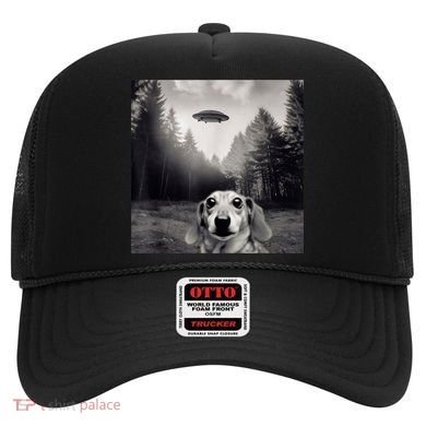 Funny Dachshund Dog Alien Ufo Gift Hat