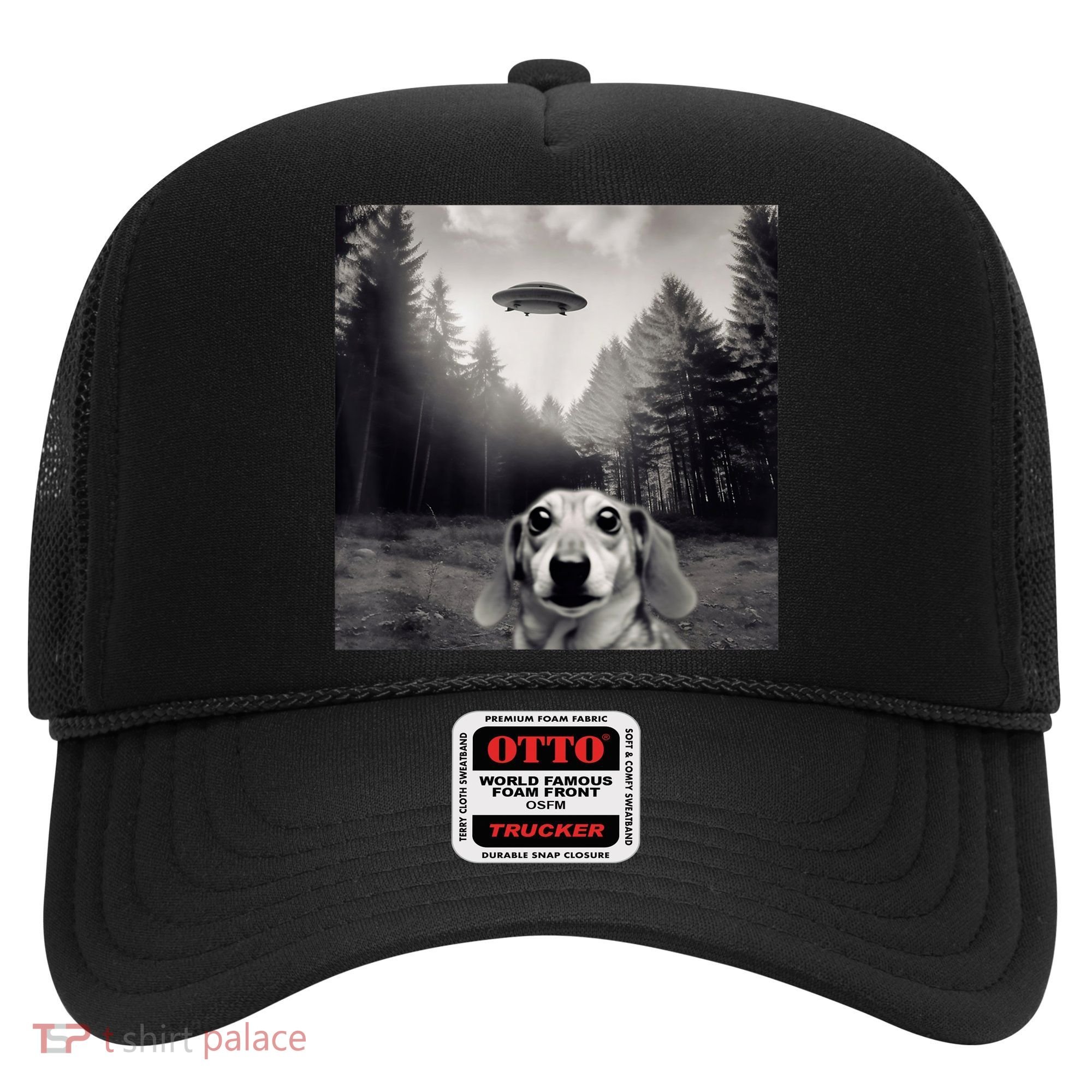 Funny Dachshund Dog Alien Ufo Gift Hat
