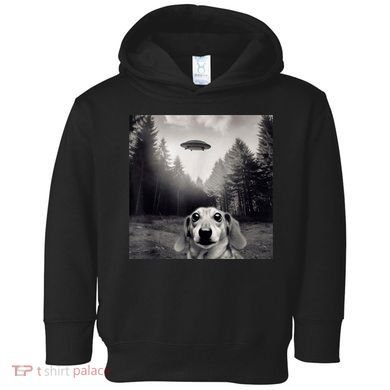 Funny Dachshund Dog Alien Ufo Gift Toddler Hoodie