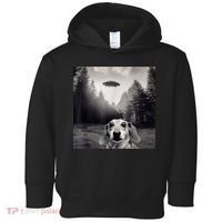 Funny Dachshund Dog Alien Ufo Gift Toddler Hoodie thumb 0