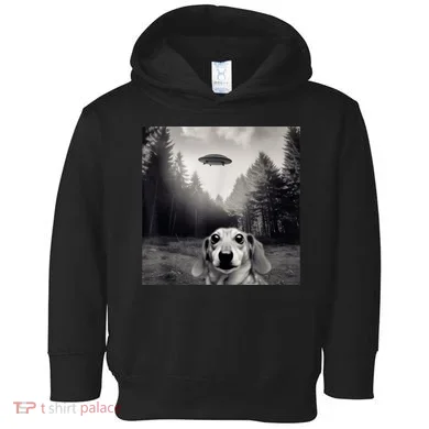 Toddler Hoodie