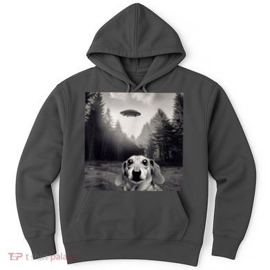Funny Dachshund Dog Alien Ufo Gift Hoodie