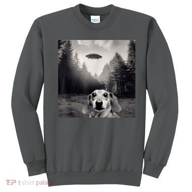 Funny Dachshund Dog Alien Ufo Gift Sweatshirt