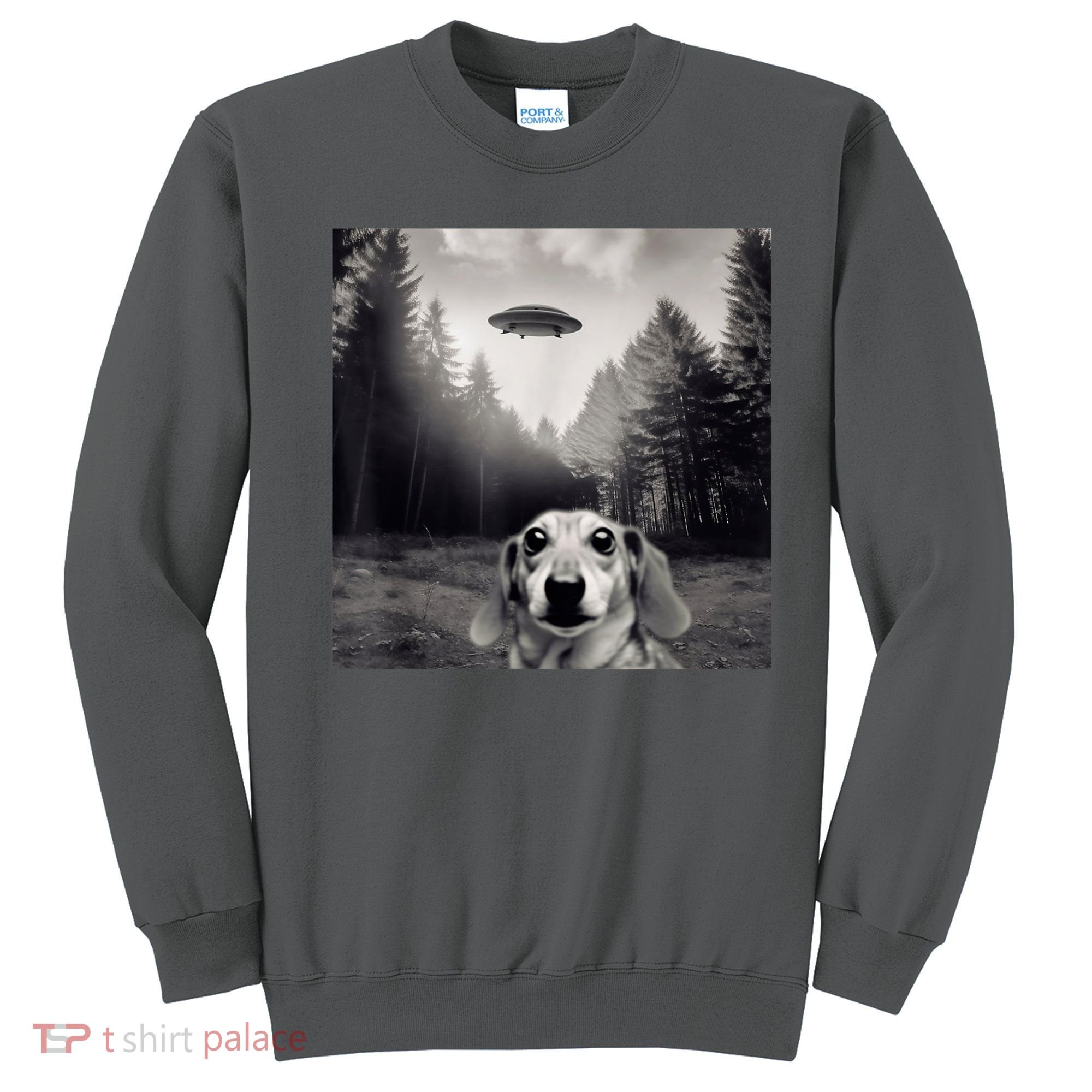 Funny Dachshund Dog Alien Ufo Gift Sweatshirt