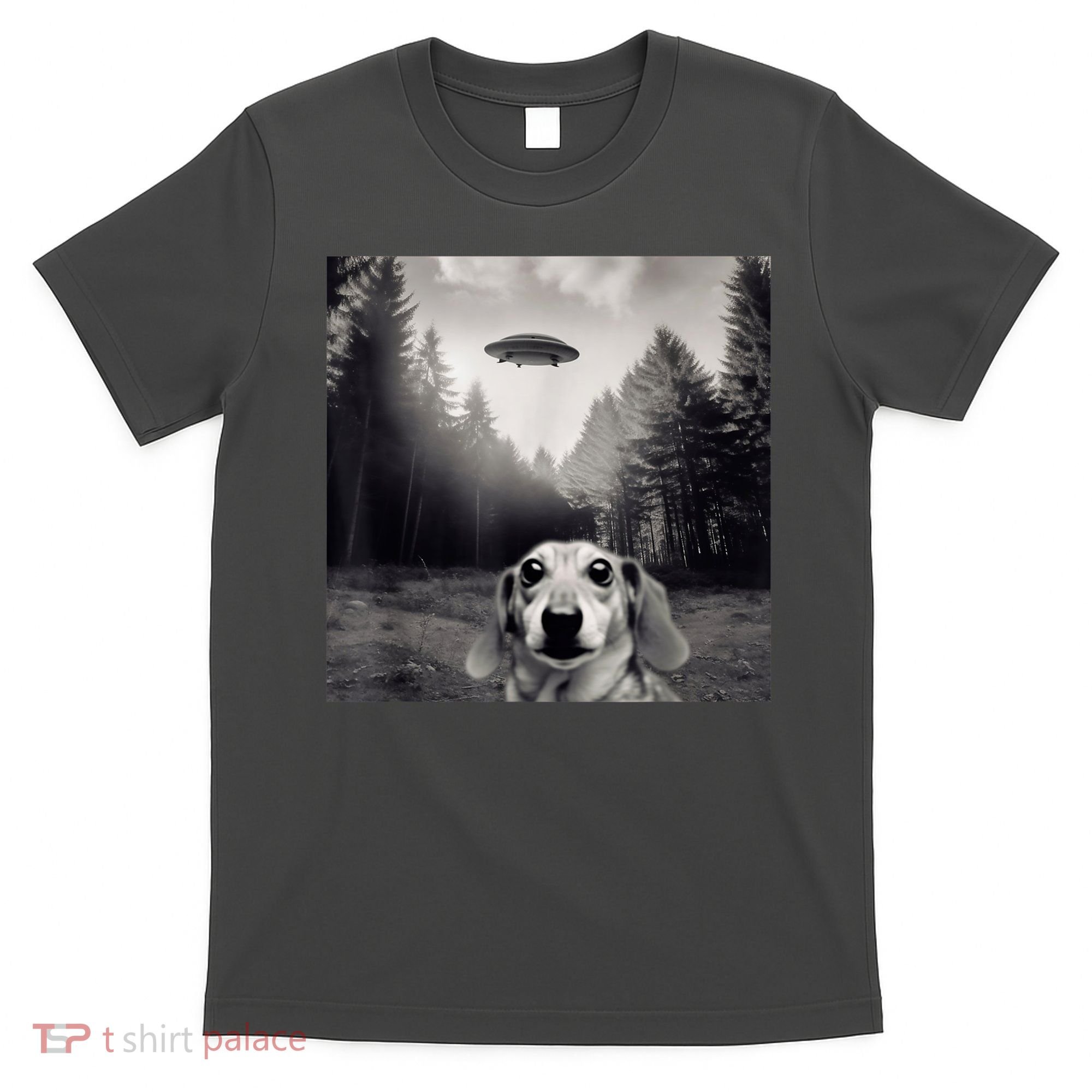 Funny Dachshund Dog Alien Ufo Gift T-Shirt