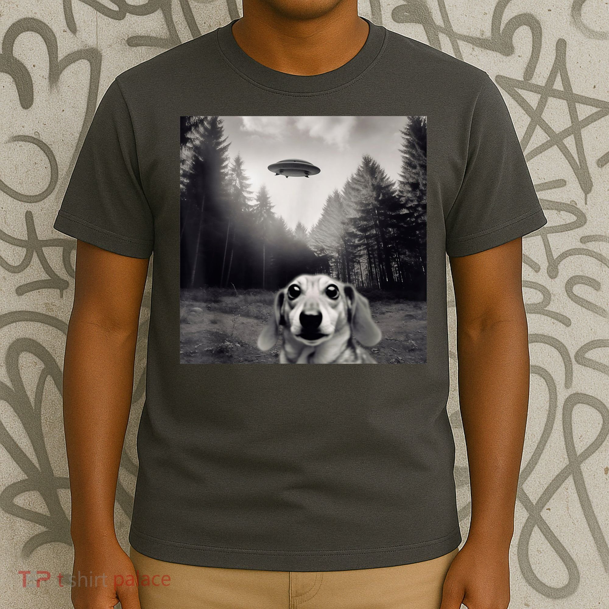 Funny Dachshund Dog Alien Ufo Gift T-Shirt