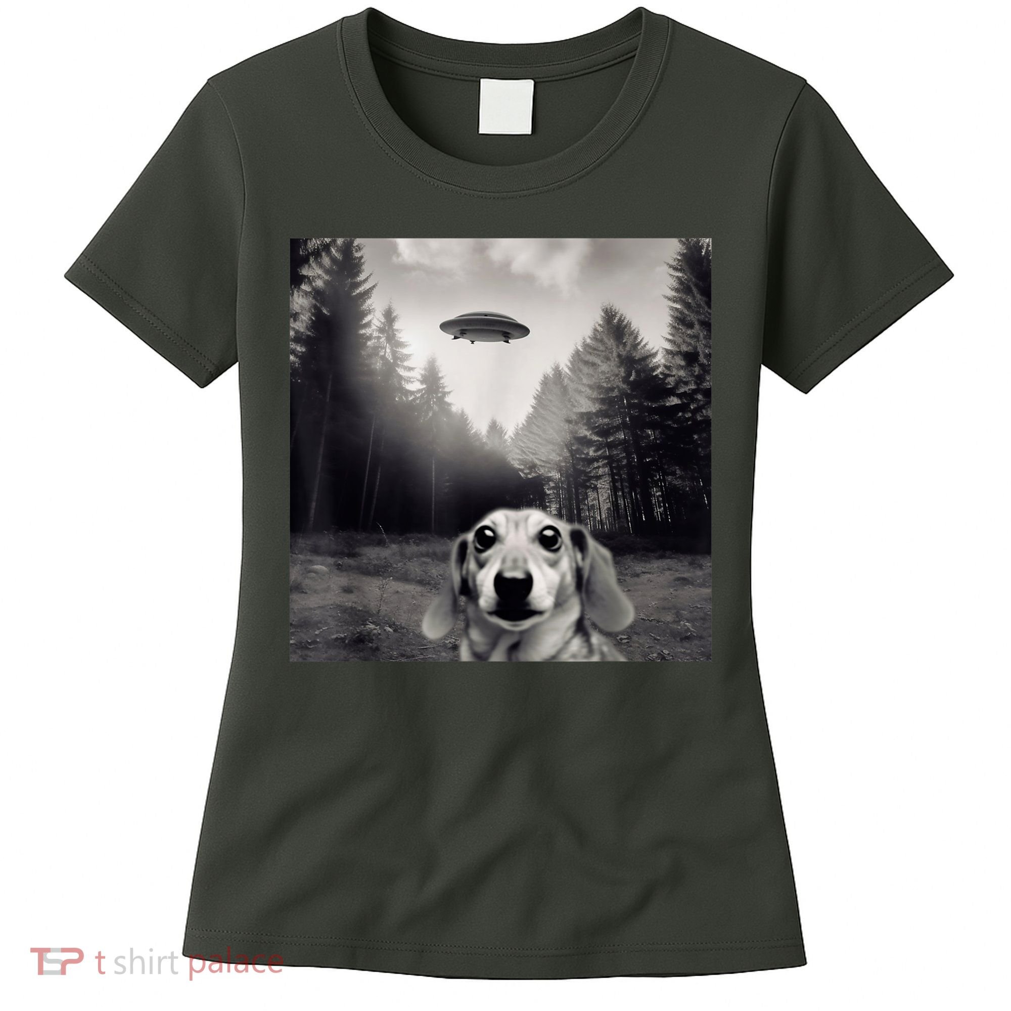 Funny Dachshund Dog Alien Ufo Gift Women's T-Shirt
