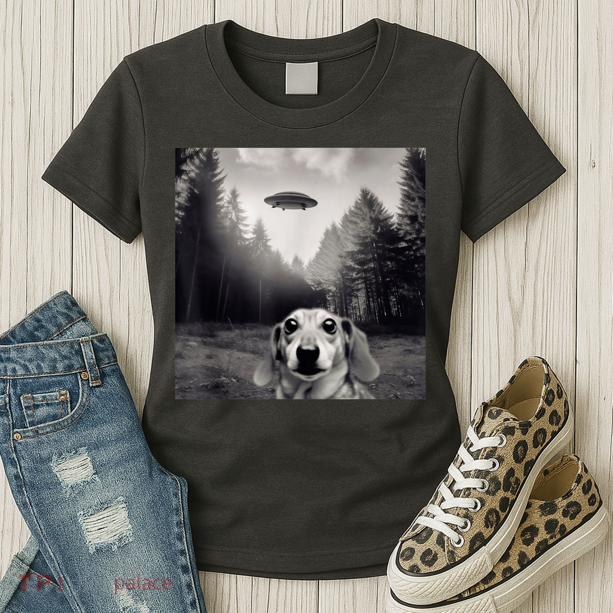 Funny Dachshund Dog Alien Ufo Gift Women's T-Shirt