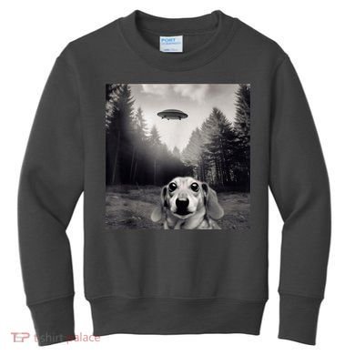 Funny Dachshund Dog Alien Ufo Gift Kids Sweatshirt