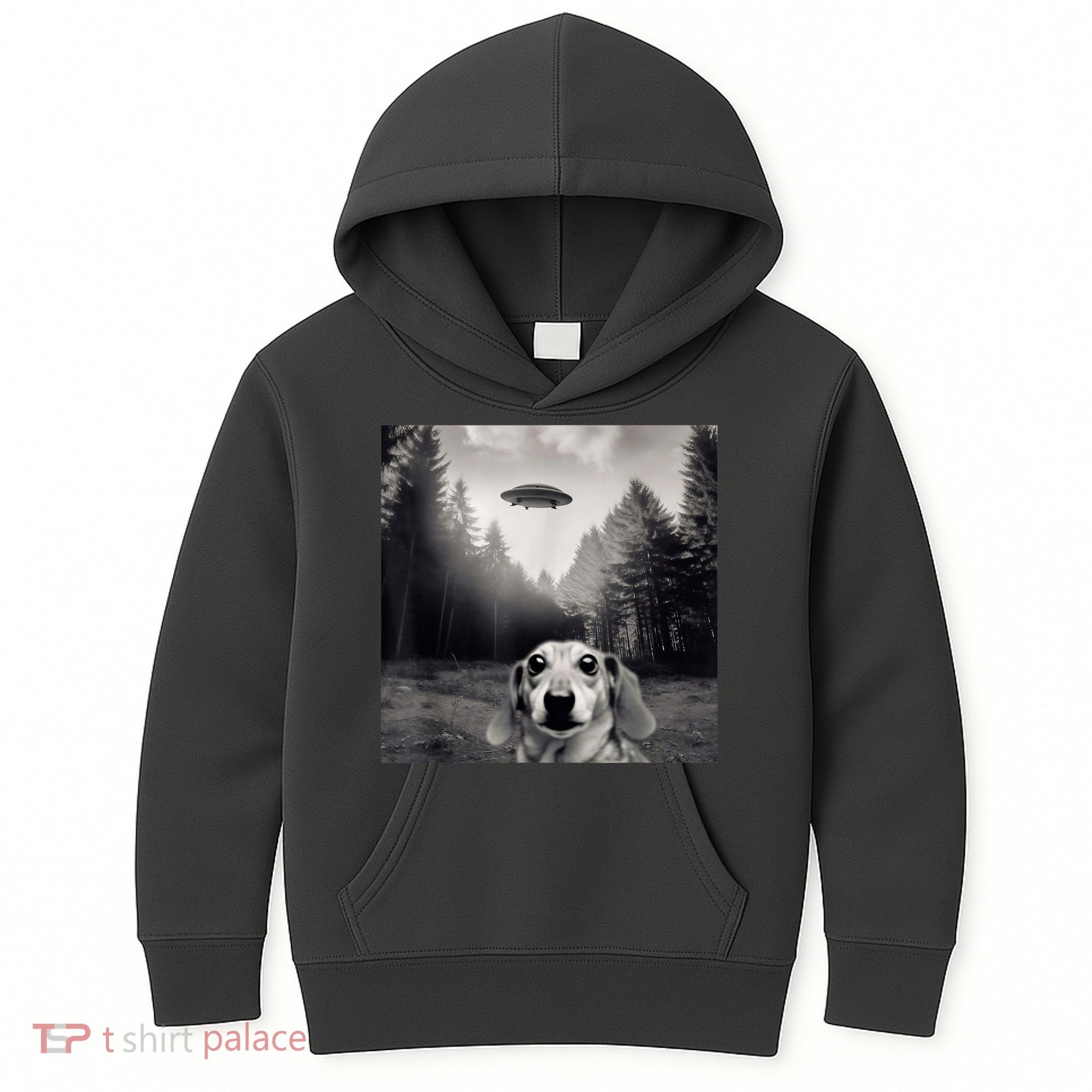 Funny Dachshund Dog Alien Ufo Gift Kids Hoodie
