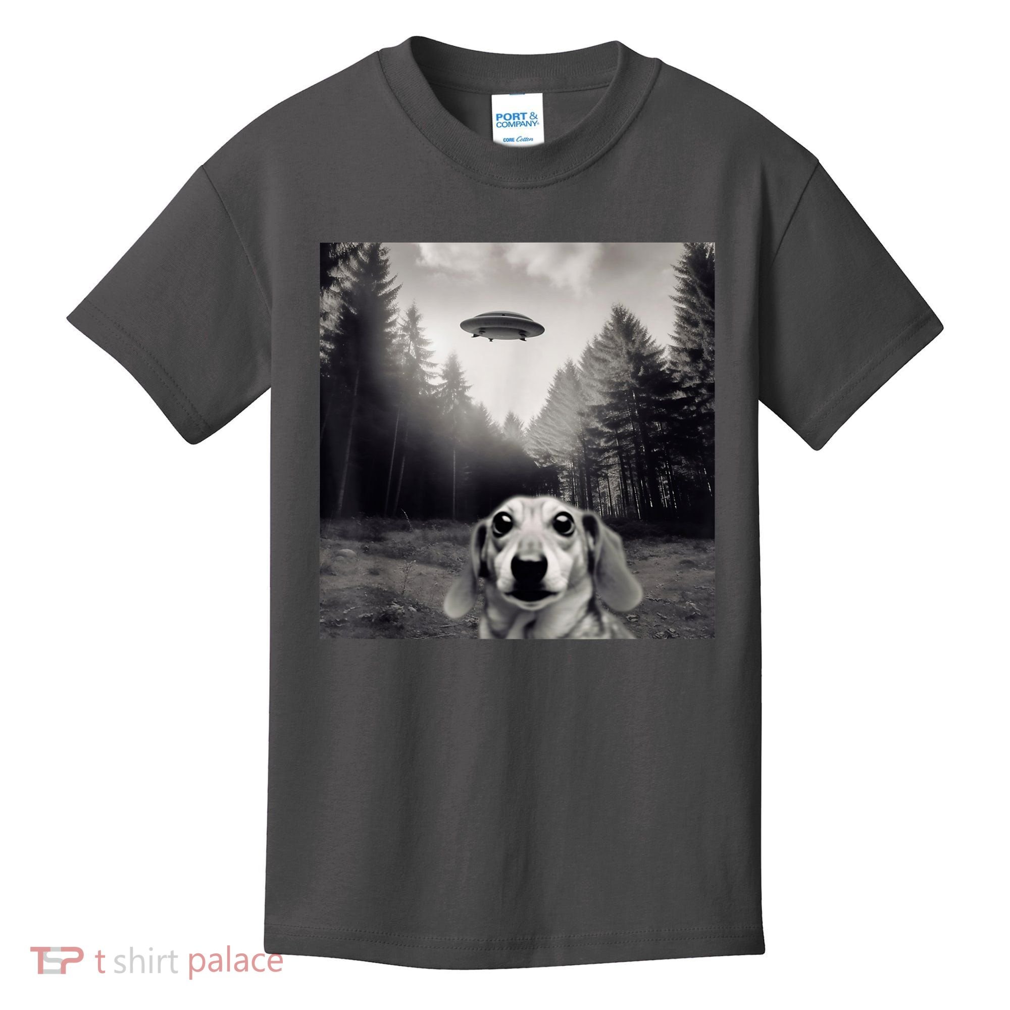 Funny Dachshund Dog Alien Ufo Gift Kids T-Shirt