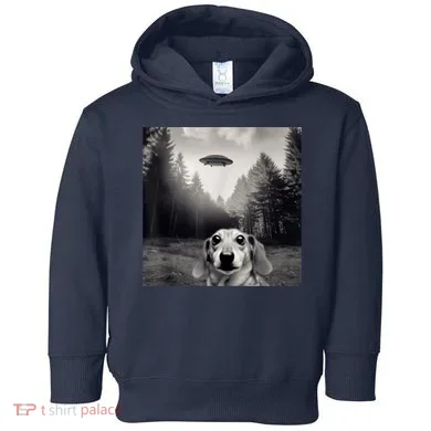 Toddler Hoodie