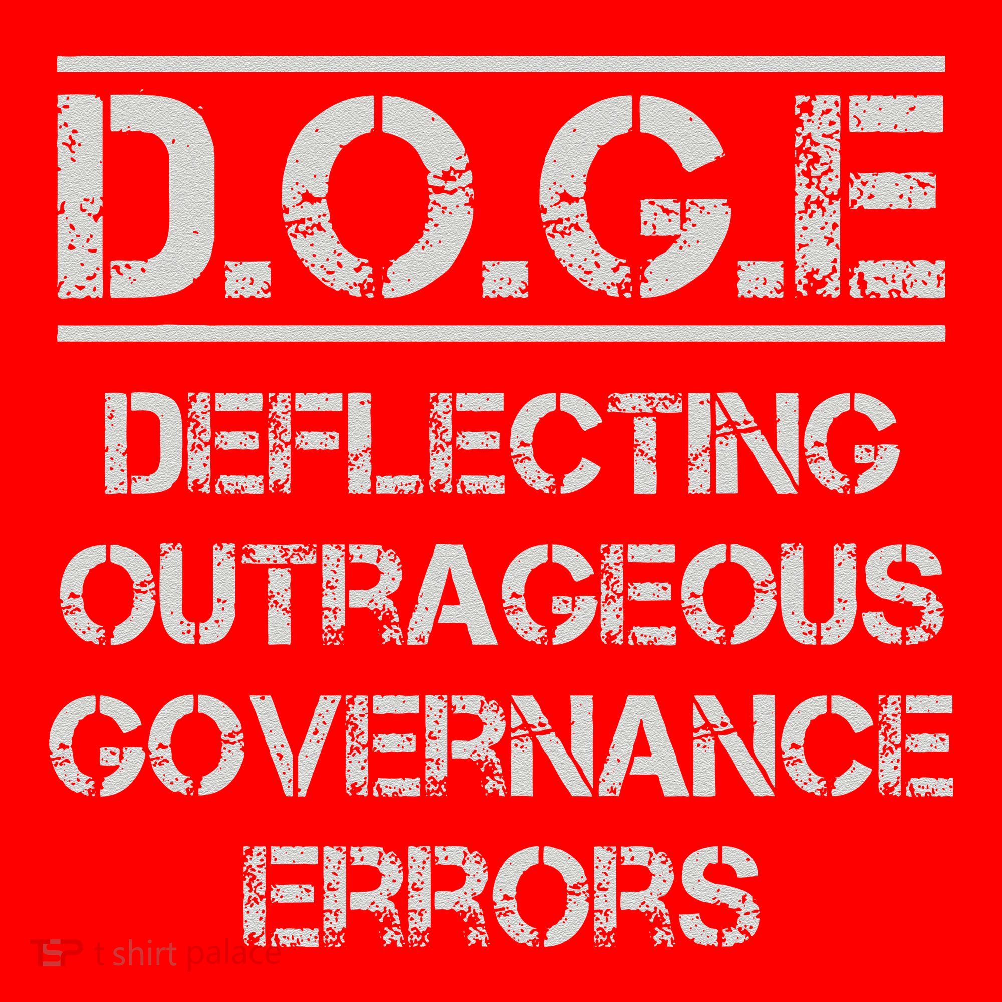 Funny Doge. Deflecting Outrageous Governance Errors Santa Hat