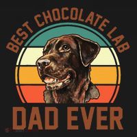 Fathers Day Dog Lover Daddy Best Chocolate Lab Dad Ever Toddler Hoodie thumb 2