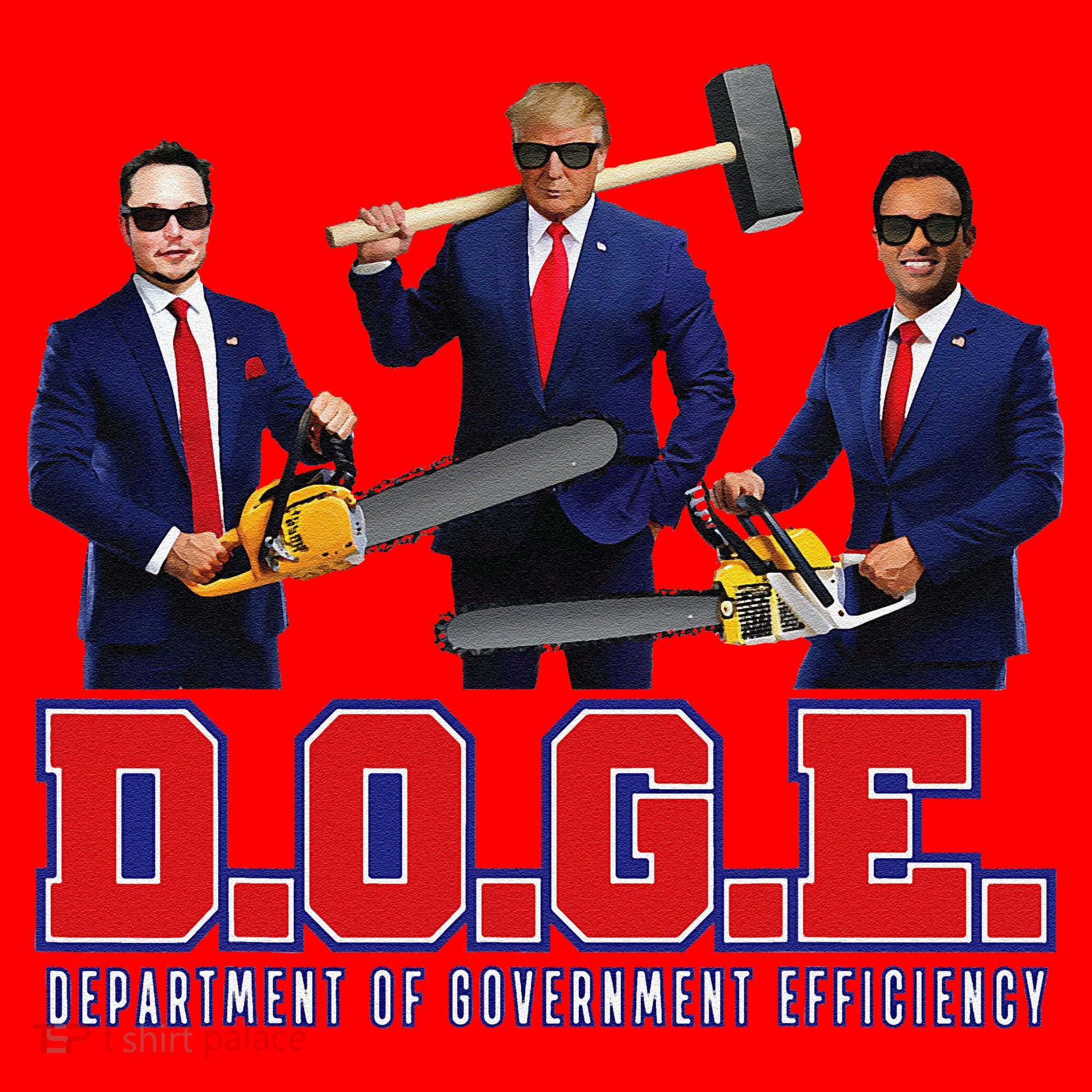 Funny D.O.G.E. (Department Of Government Efficiency) Doge Gift Santa Hat