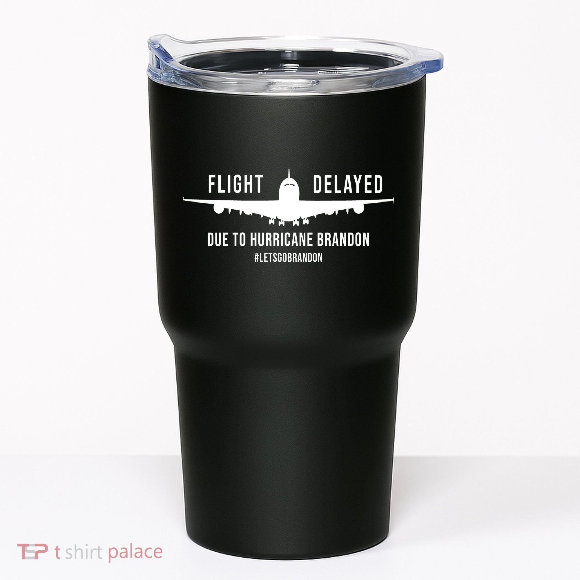 Flight Delayed Due To Hurricane Brandon #LetsGoBrandon Tumbler