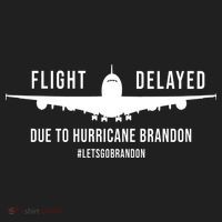 Flight Delayed Due To Hurricane Brandon #LetsGoBrandon Tumbler thumb 3