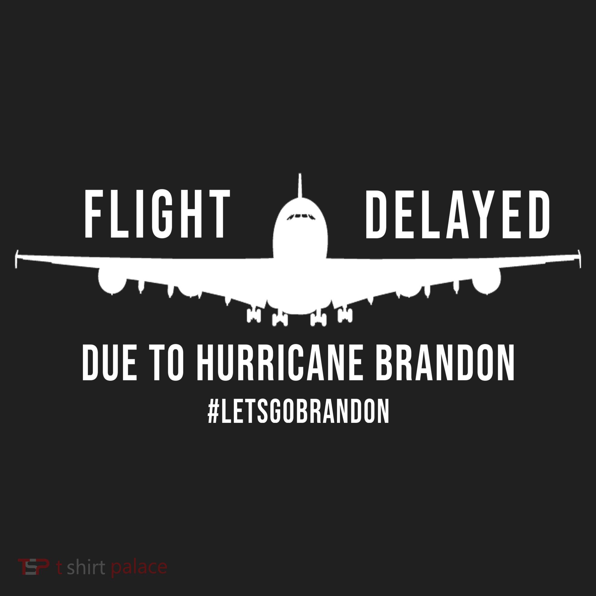 Flight Delayed Due To Hurricane Brandon #LetsGoBrandon Tumbler