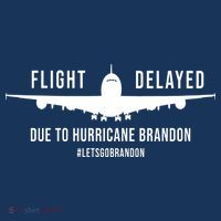 Flight Delayed Due To Hurricane Brandon #LetsGoBrandon Women's Hoodie thumb 2