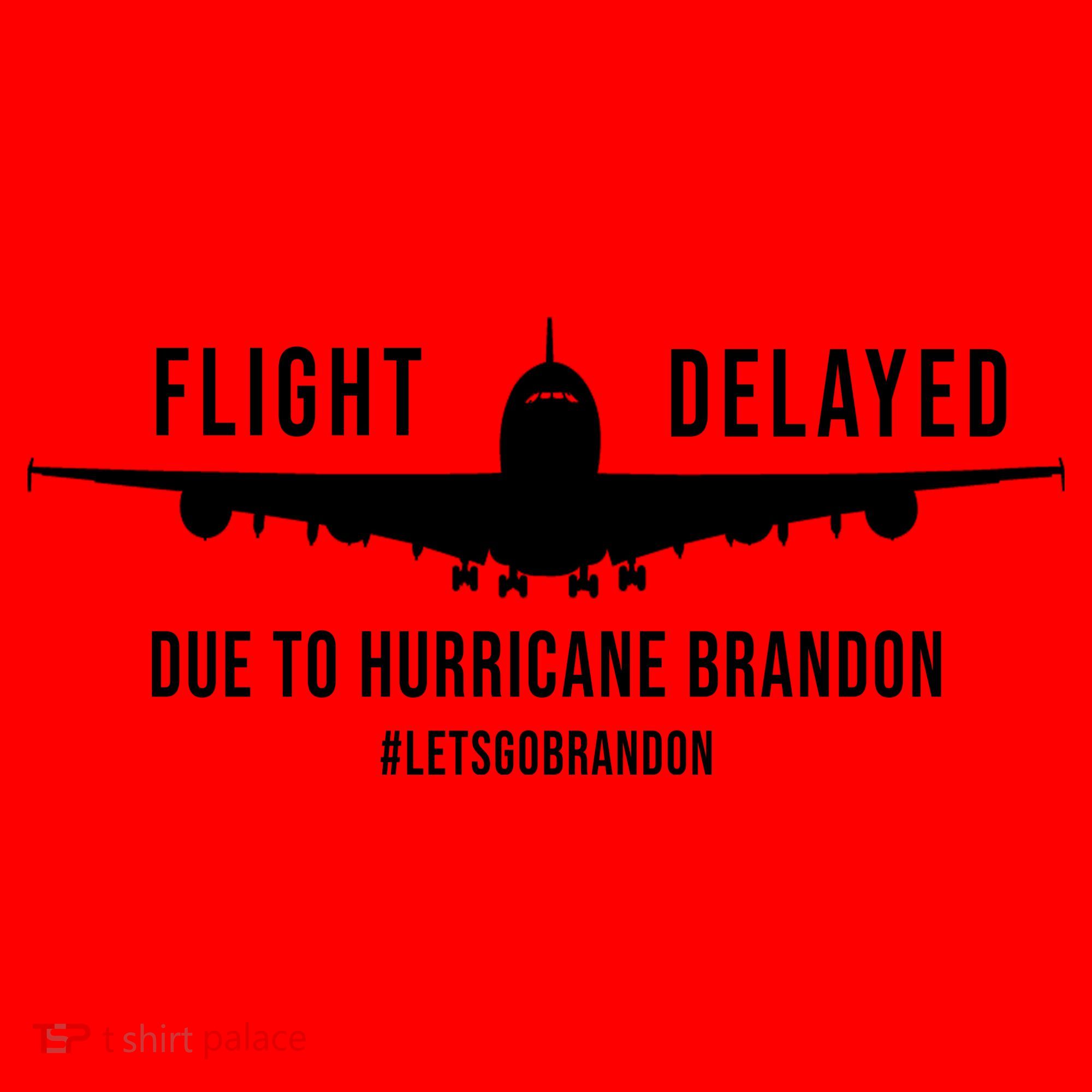 Flight Delayed Due To Hurricane Brandon #LetsGoBrandon Santa Hat
