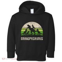 Fathers Day Grandpa Grandpasaurus Dinosaur Toddler Hoodie thumb 0