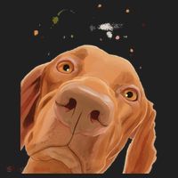 Funny Dog Hungarian Vizsla Hat thumb 2