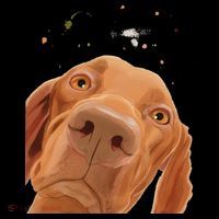 Funny Dog Hungarian Vizsla Toddler Hoodie thumb 2