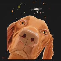 Funny Dog Hungarian Vizsla Visor thumb 3