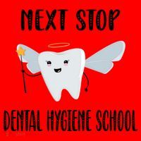 Future Dental Hygienist Dental Hygiene School Gift Santa Hat thumb 1