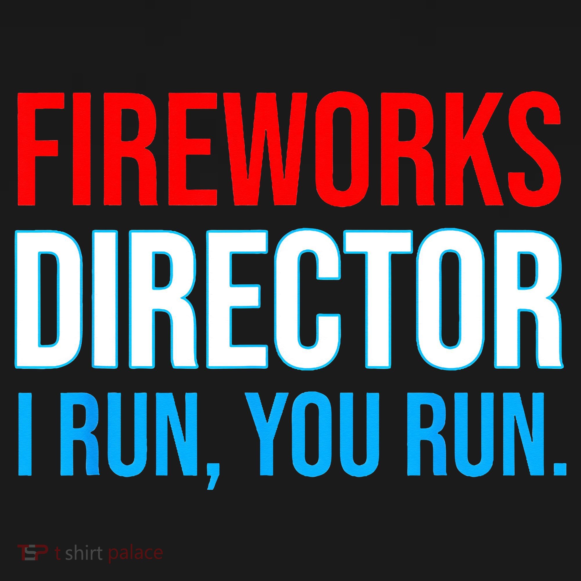 Fireworks Director I Run You Run Funny 4th Of July Party Sweatshirt