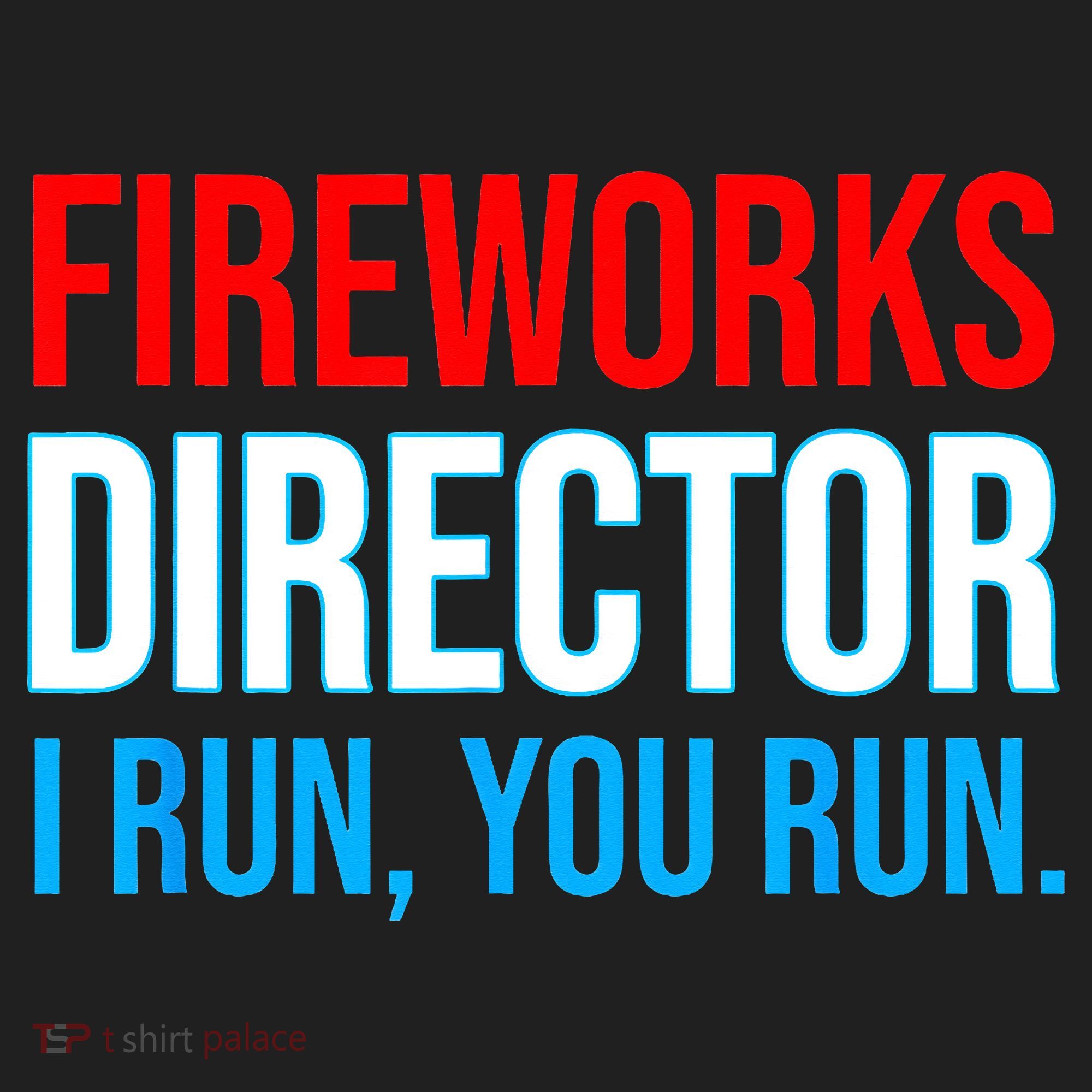 Fireworks Director I Run You Run Funny 4th Of July Party Beanie