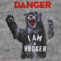 Funny Danger Im Hugger Bear Sun Nerd Geek Graphic Toddler Hoodie thumb 2