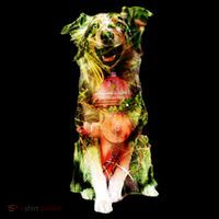 Figherfighter Dog Illustration Bucket Hat thumb 4