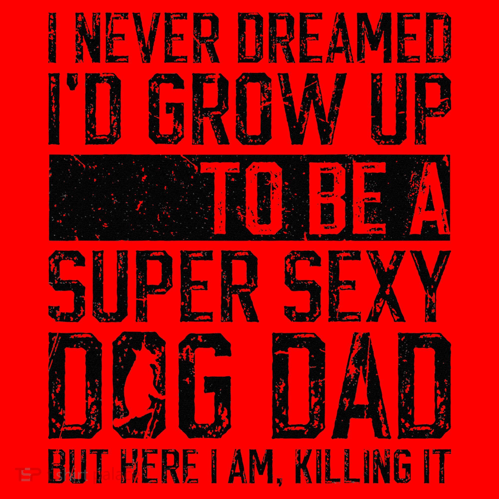 Father's Day I Never Dreamed I'd be a Super Sexy Dog Dad Santa Hat