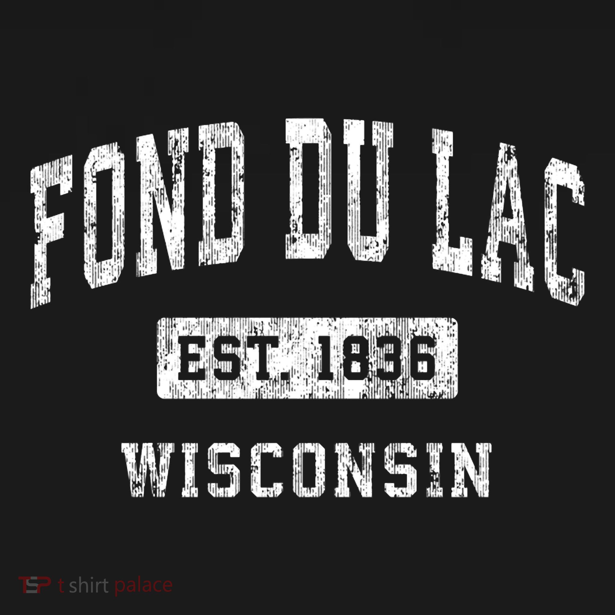 Fond Du Lac Wisconsin Wi Vintage Established Sports T-Shirt