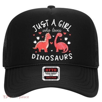 funny Dinosaur Lover Tee Dino Hat