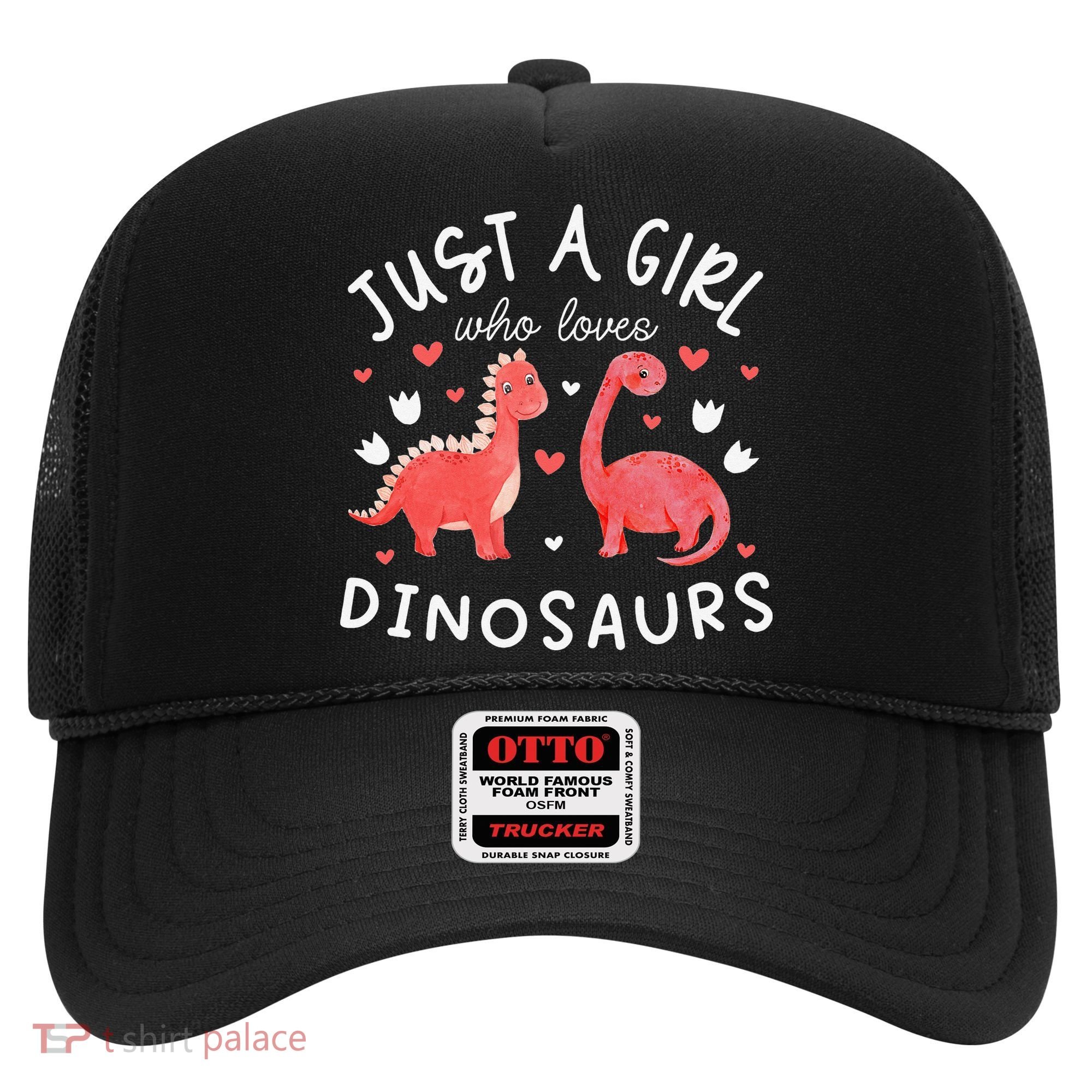 funny Dinosaur Lover Tee Dino Hat