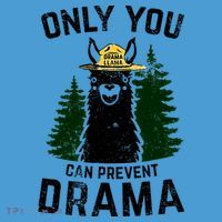 Funny Drama Llama Only You Can Prevent Drama Sarcastic Lover Tie Dye Hoodie thumb 2