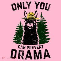 Funny Drama Llama Only You Can Prevent Drama Sarcastic Lover Coaster thumb 2