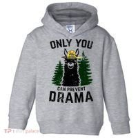 Funny Drama Llama Only You Can Prevent Drama Sarcastic Lover Toddler Hoodie thumb 0