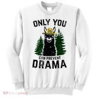 Funny Drama Llama Only You Can Prevent Drama Sarcastic Lover Sweatshirt thumb 0